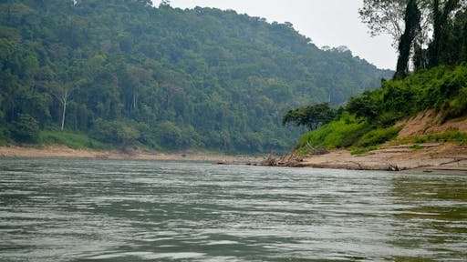 Lacandona Jungle tour 4.jpg