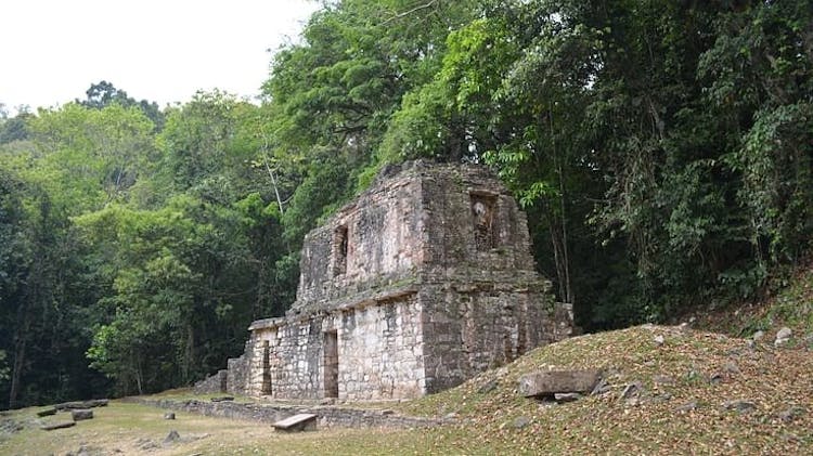 Lacandona Jungle, Yaxchilan and Bonampak full-day guided tour from Palenque