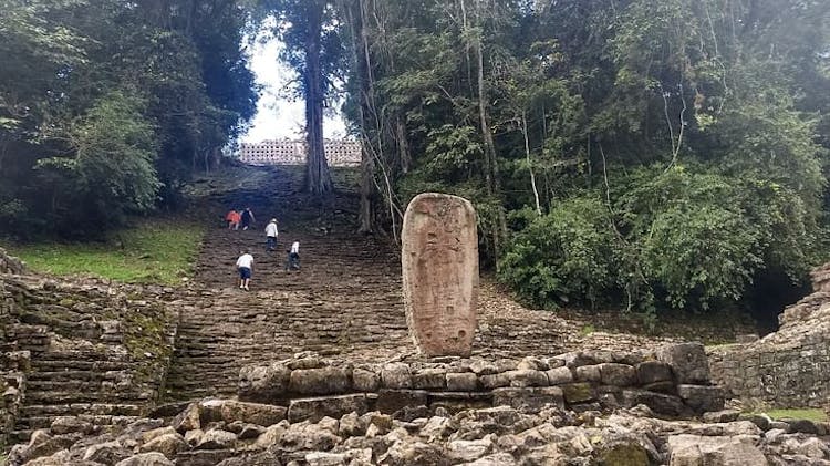 Lacandona Jungle, Yaxchilan and Bonampak full-day guided tour from Palenque