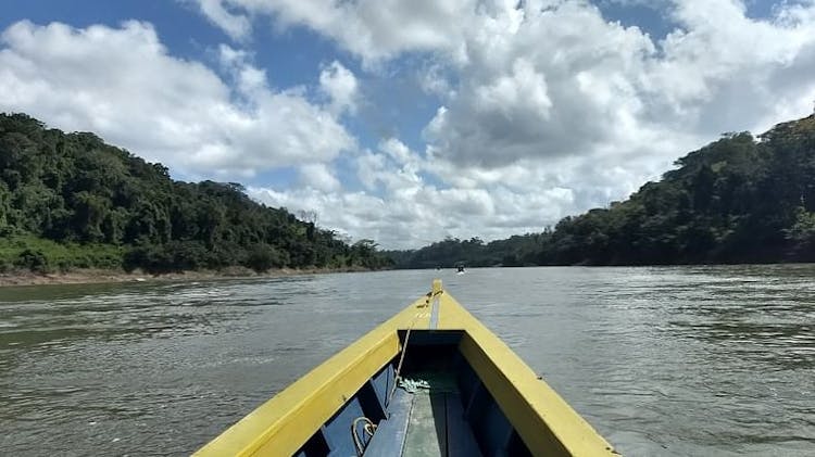 Lacandona Jungle, Yaxchilan and Bonampak full-day guided tour from Palenque