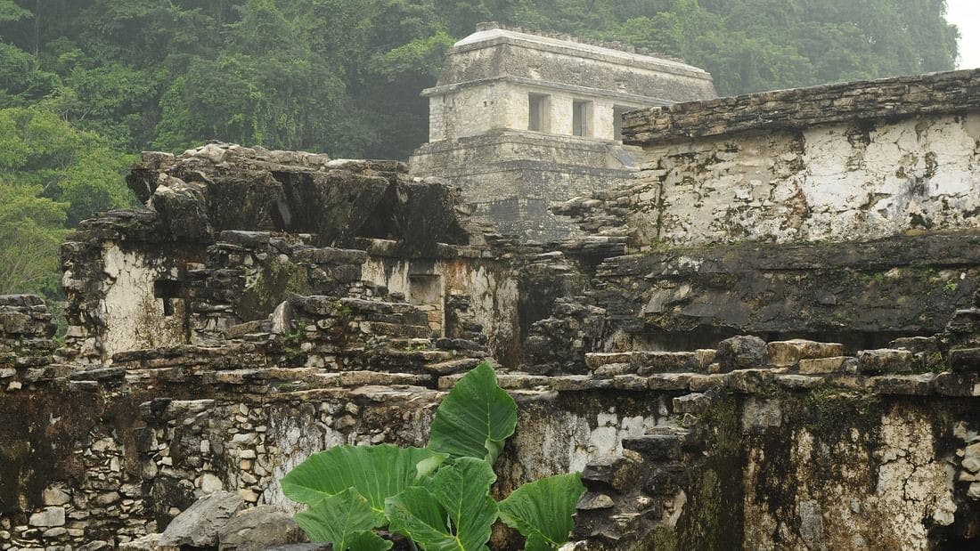 Palenque Mayan Ruins and waterfalls 4.jpg