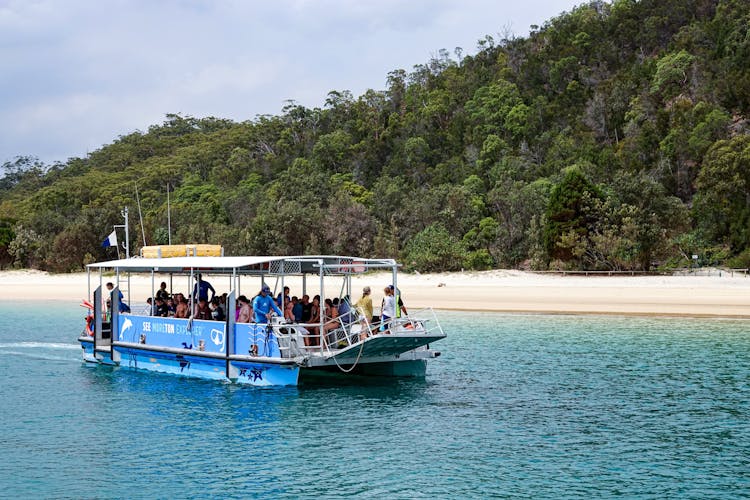 Moreton Bay Marine Park snorkeling tour from Rivergate Marina