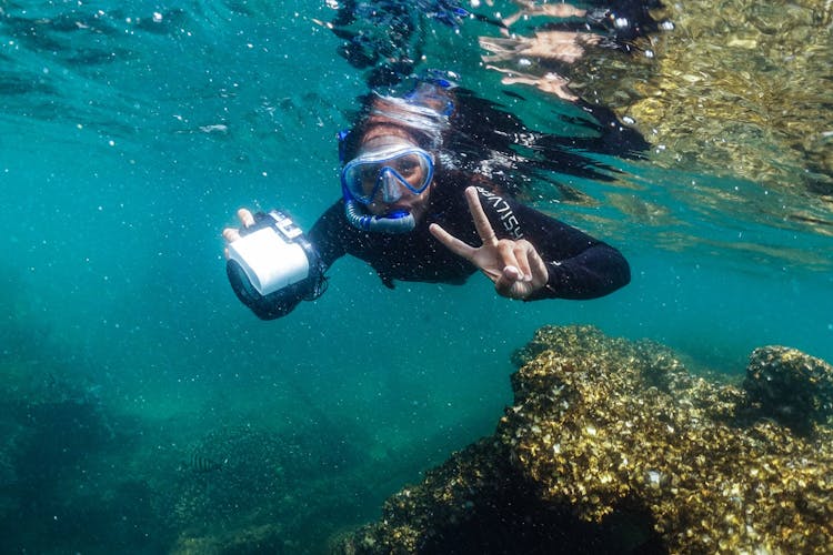 Moreton Bay Marine Park snorkeling tour from Rivergate Marina