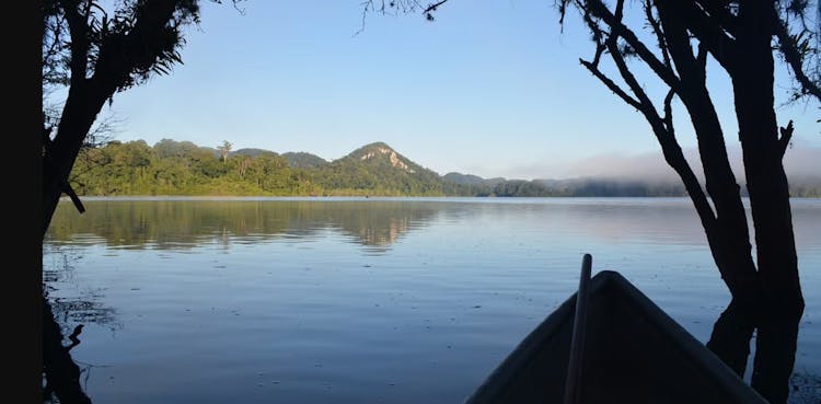 Metzabok Lagoon full-day trip from Palenque