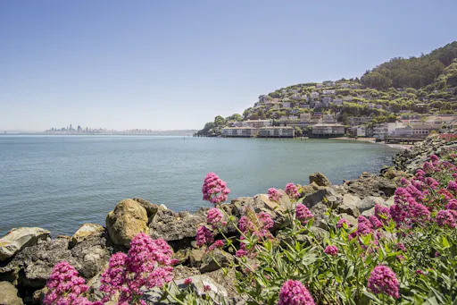 San Francisco city and Muir Woods tour 6.jpg