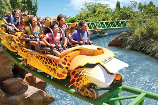 CheetahHuntCoaster-WithLogo-Large (1).jpg