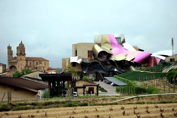 Vitoria and Rioja wine region with winery visit full-day tour from Bilbao