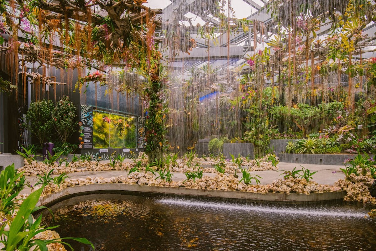 Floral-Fantasy - Waltz.jpg