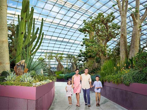 Gardens by the Bay.jpg
