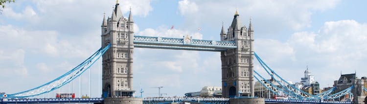 Tower of London Tour and Tower Bridge private guided tour
