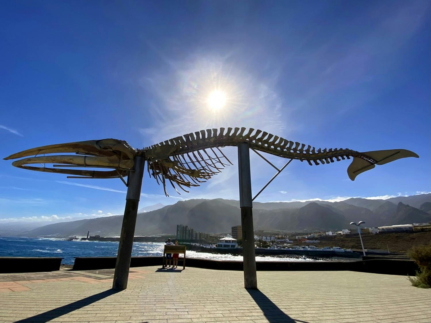 EGC_Pia Korhonen_Masca, Teno and Rural Tenerife Tour, Los Silos Whale.jpg
