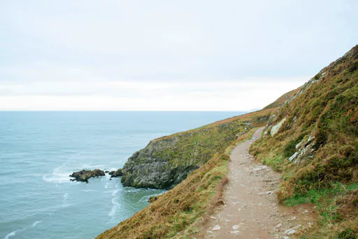 StockMM_Unsplash_Ireland_ Howth Hike_soff-garavano-puw-o6PvcZ7vP90-unsplash.jpg