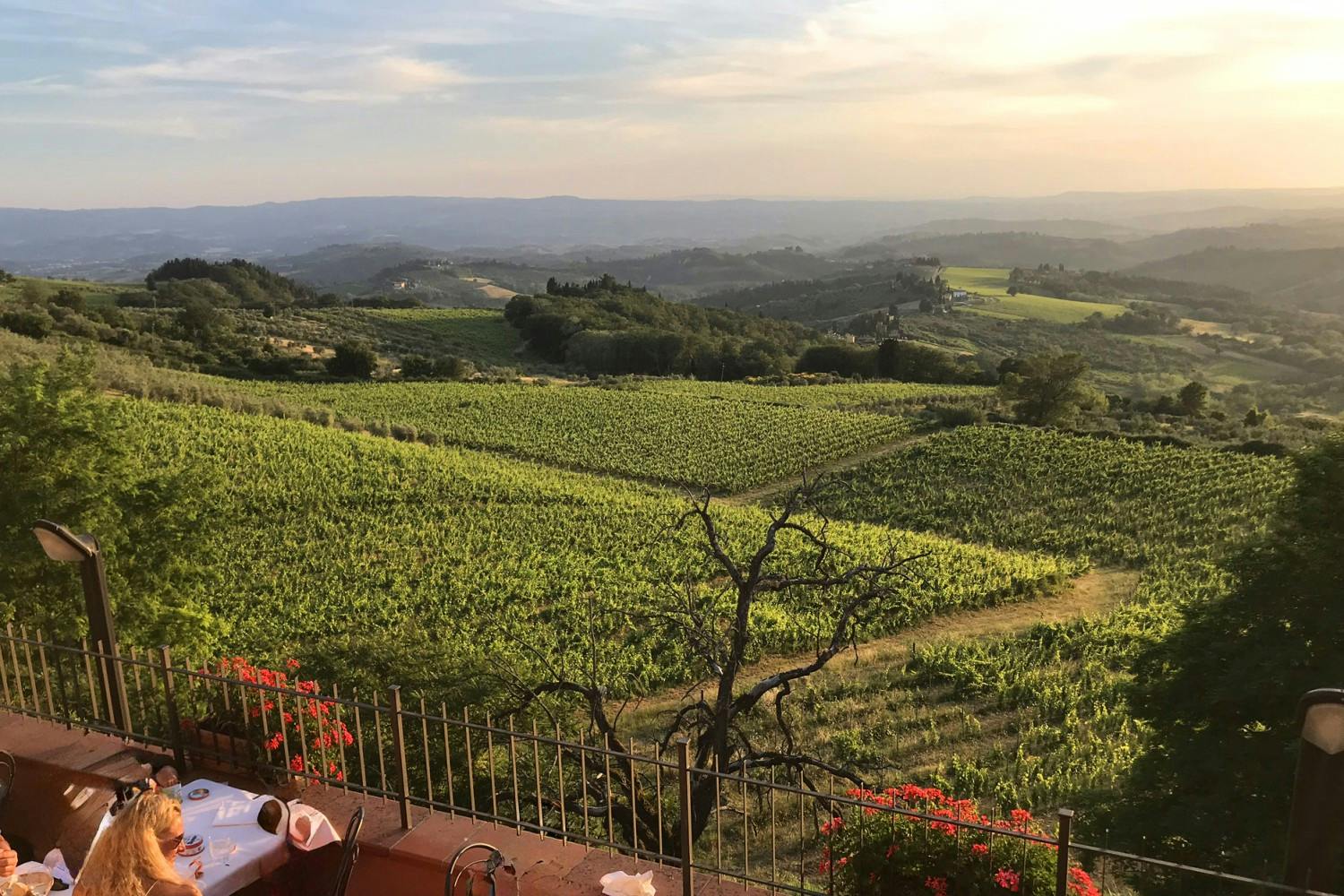 6 ristorante Chianti.JPEG
