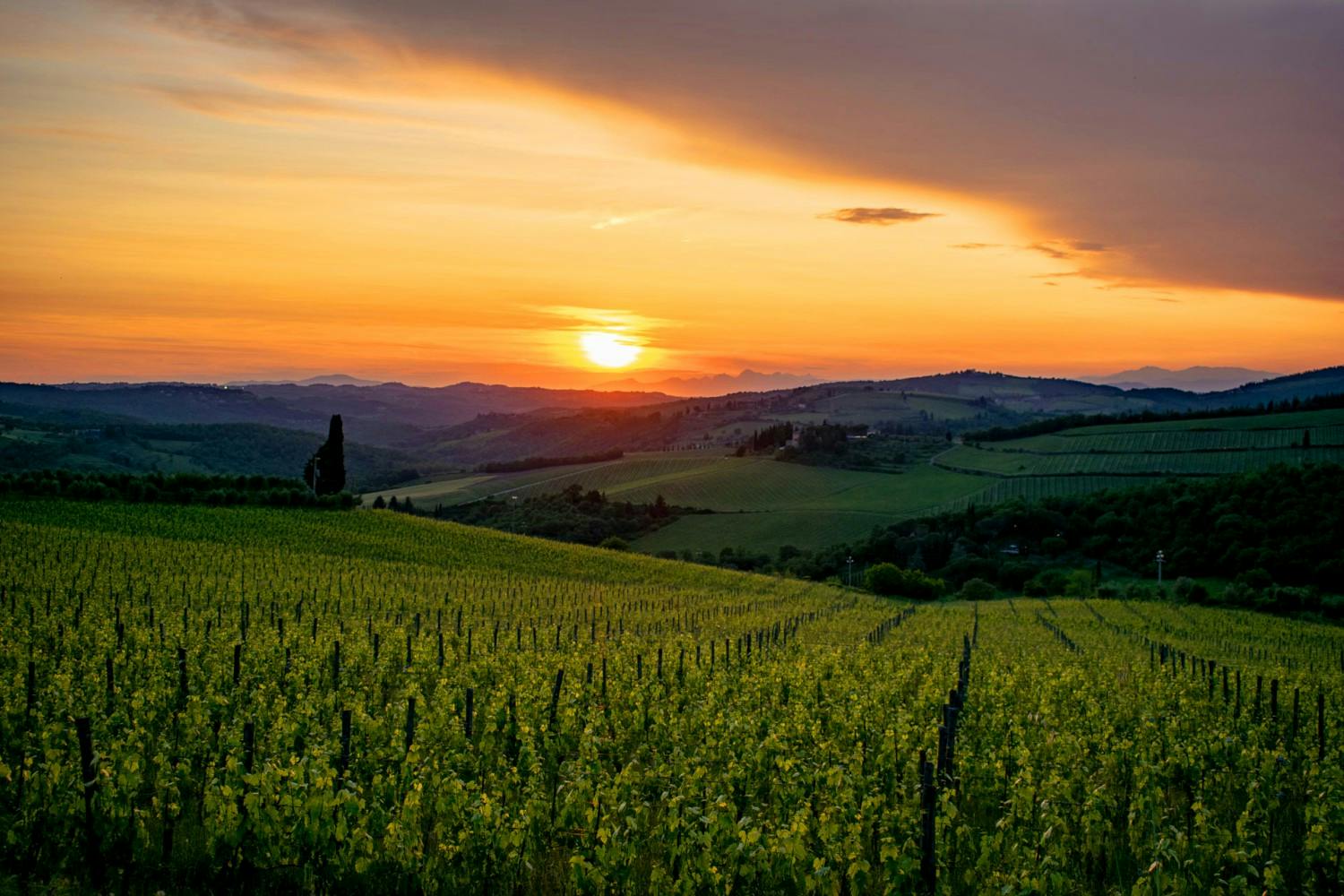 16 Copia di DSC_0059.jpg