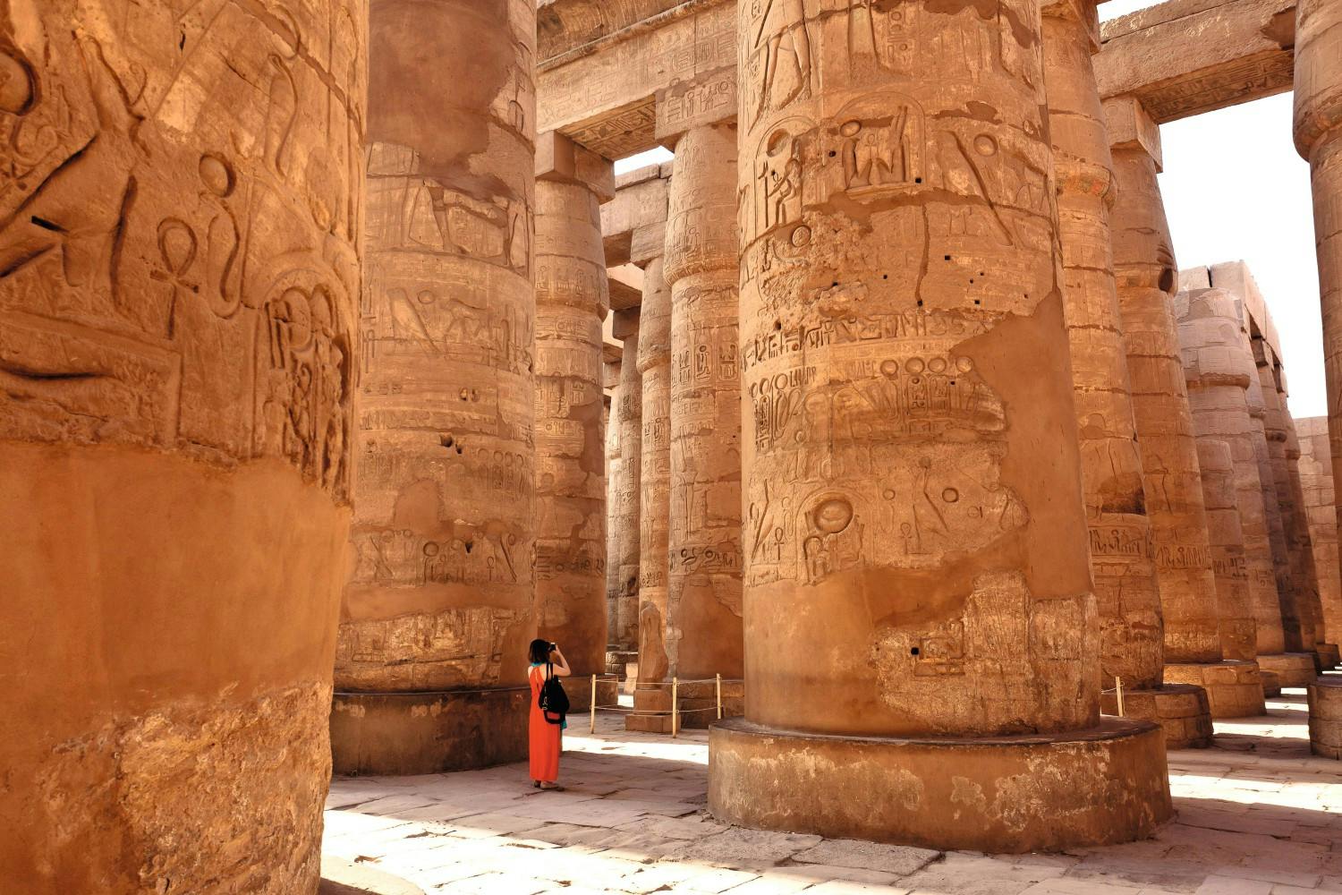 EGY_EXC_F310_JPG.jpg