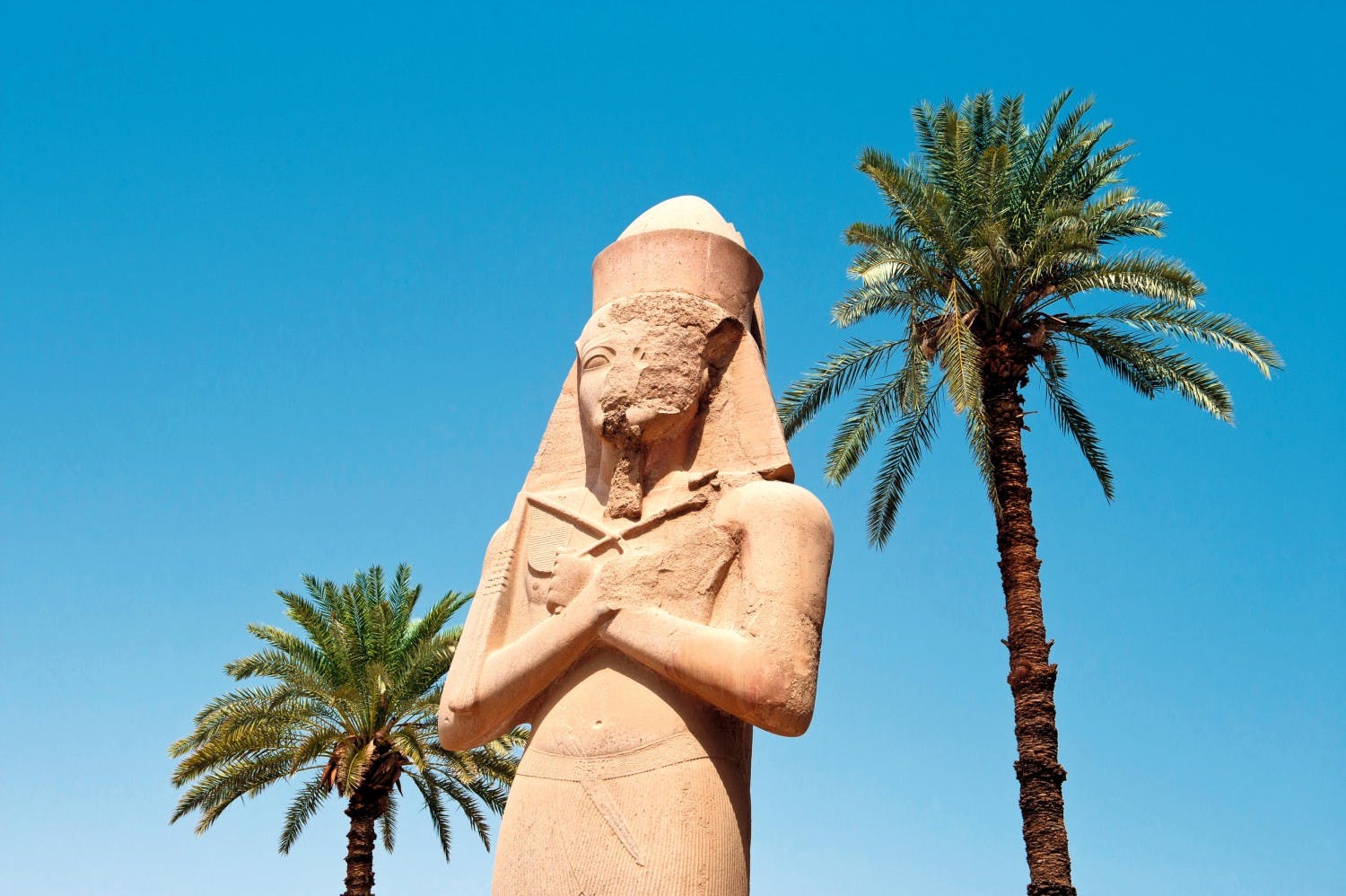 EGY_LUX_F313_JPG.jpg
