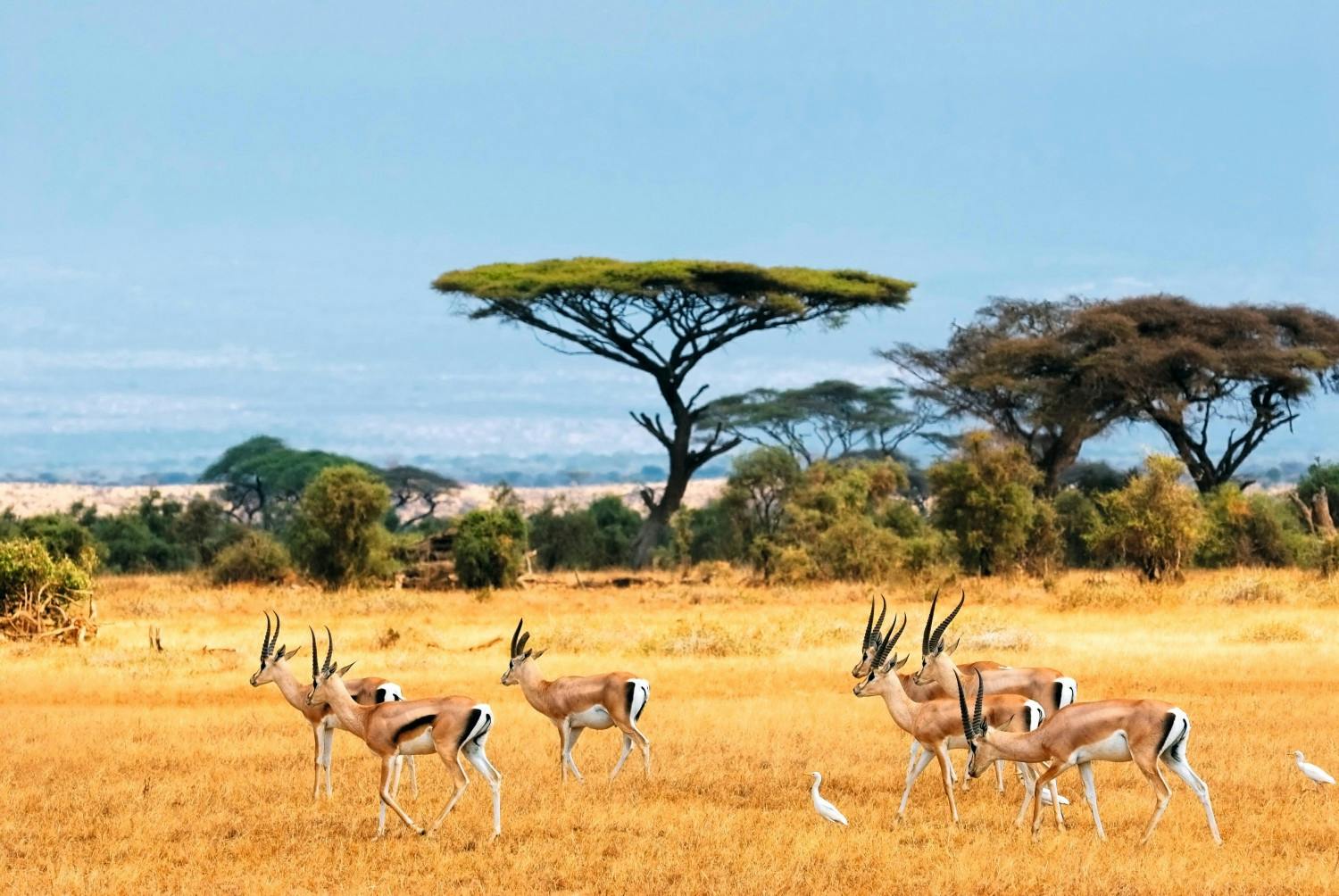 LOC_000132_shutterstock_65120086_JPG.jpg