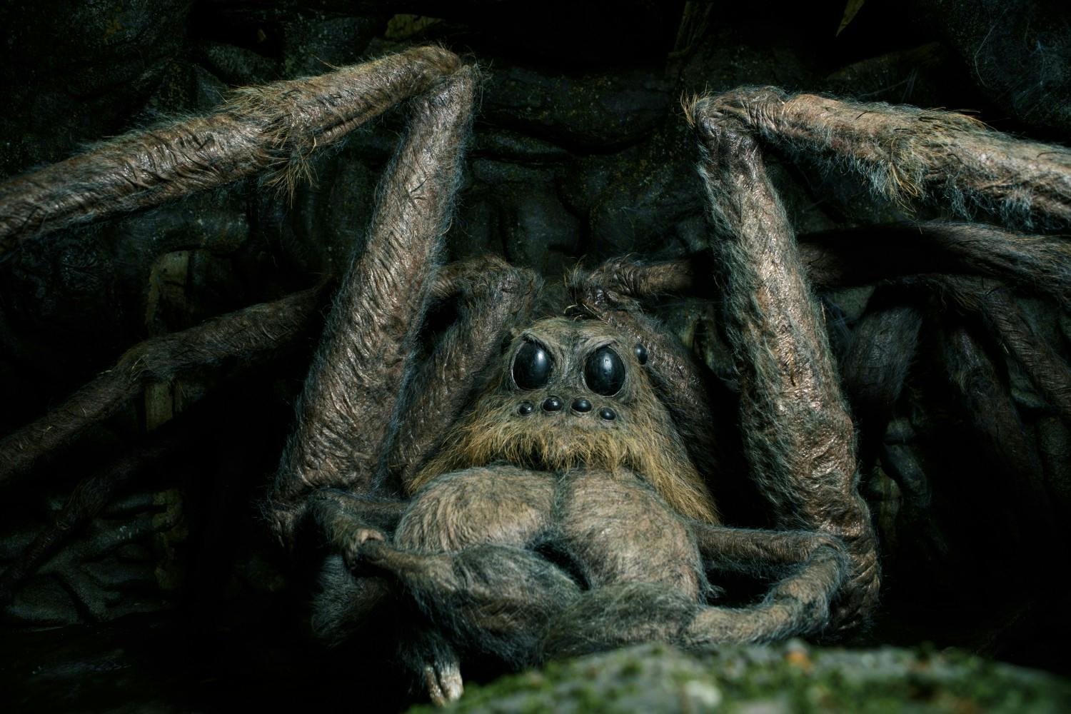 FF-Aragog.jpeg