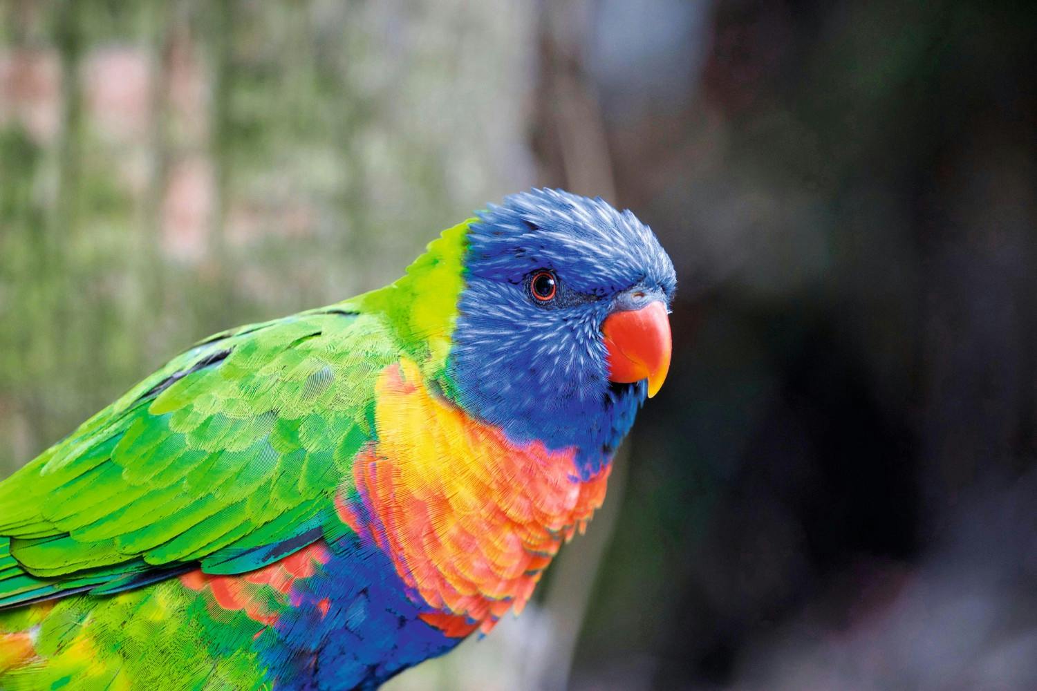 ACC_985939_shutterstock_1100948435_JPG.jpg