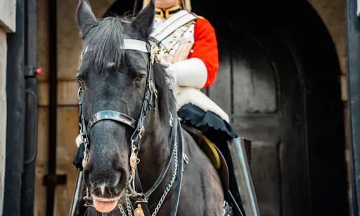 5. AdobeStock_595878982.jpeg