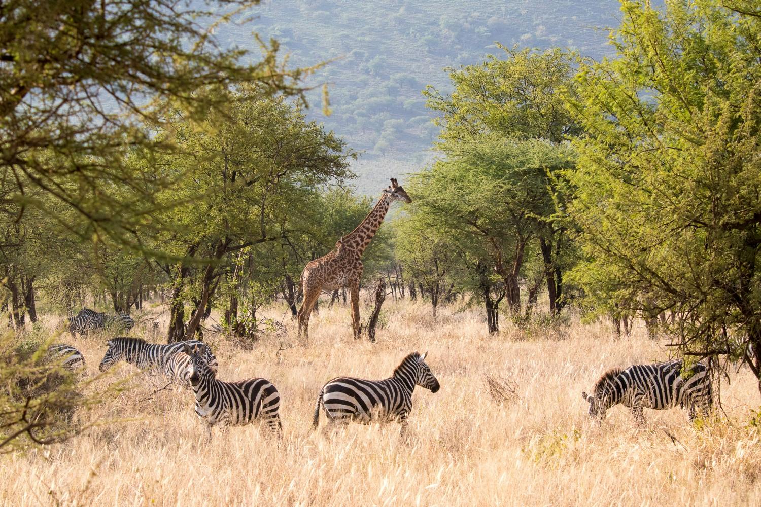 2 AdobeStock_292918977.jpeg