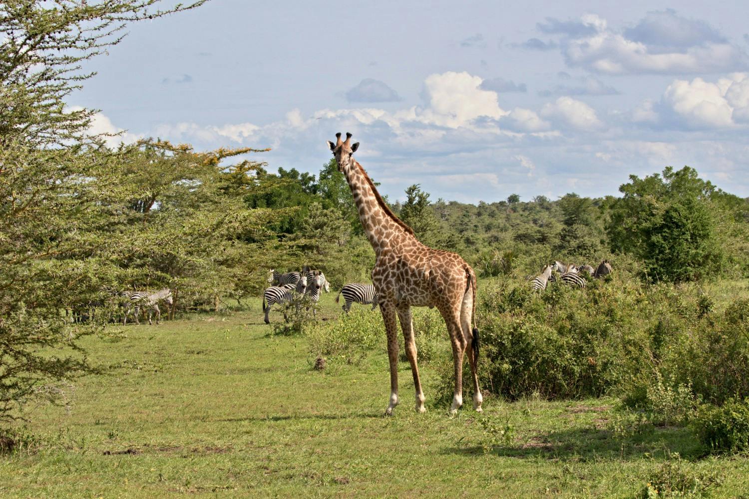 6 AdobeStock_428740144.jpeg