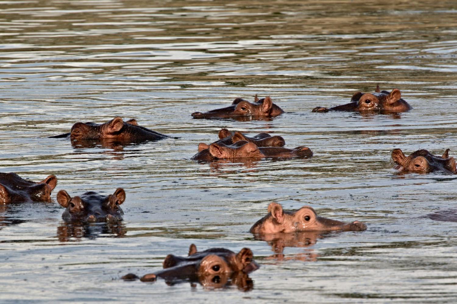 9 AdobeStock_428740316.jpeg