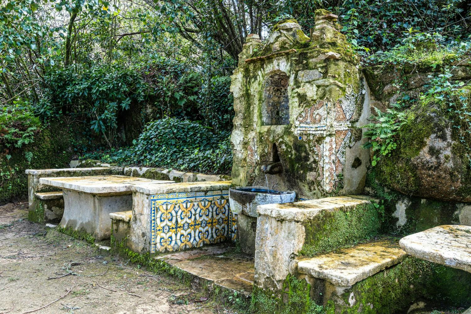 AdobeStock_877230498 (1).jpeg