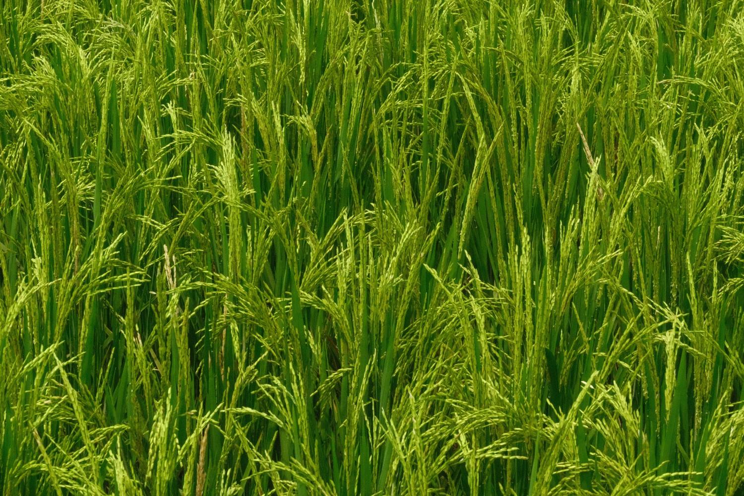 AdobeStock_1768389518 (1).jpeg