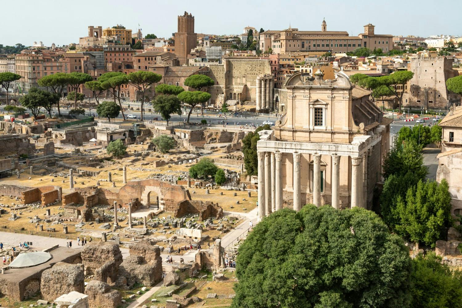 Italy_Rome_Roman_Forum_14.jpg