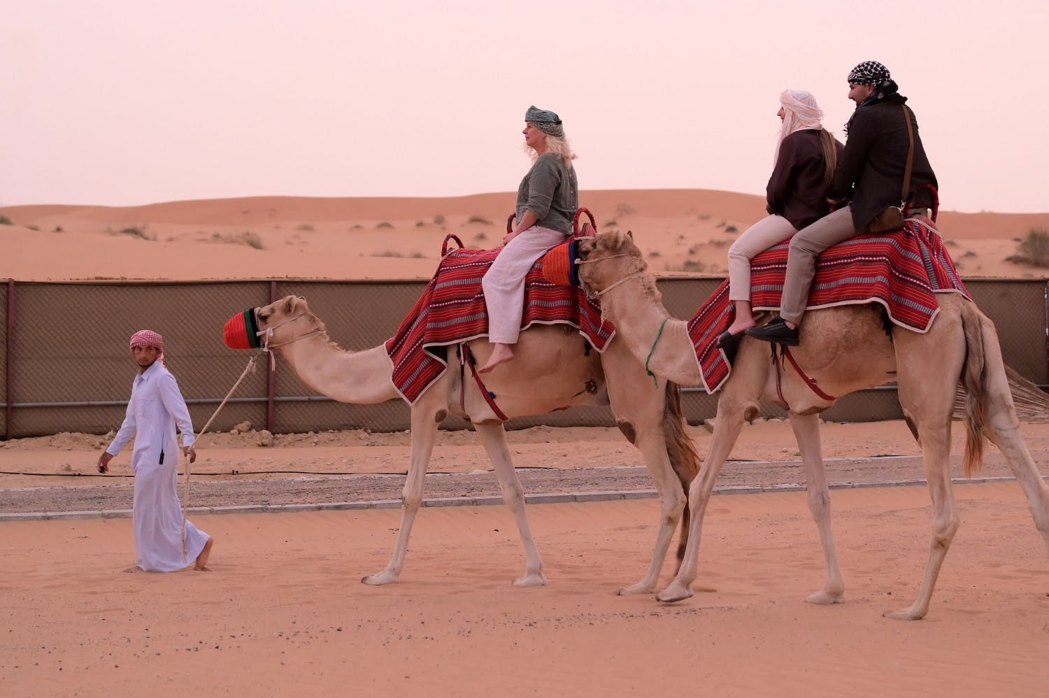 5. Travco DSC_7641.JPG