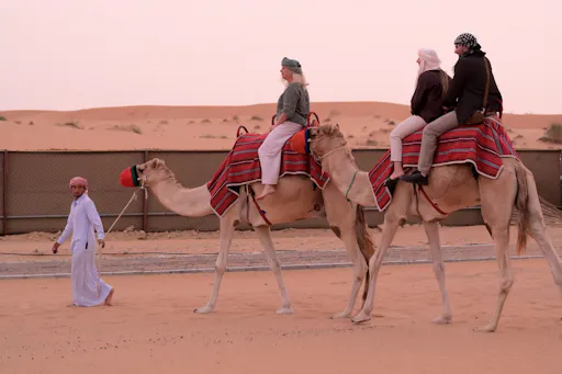 5. Travco DSC_7641.JPG