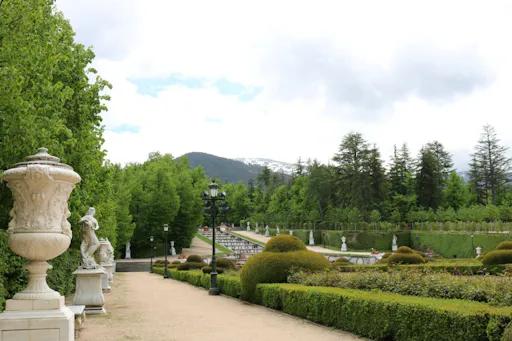 AdobeStock_243778430.jpg