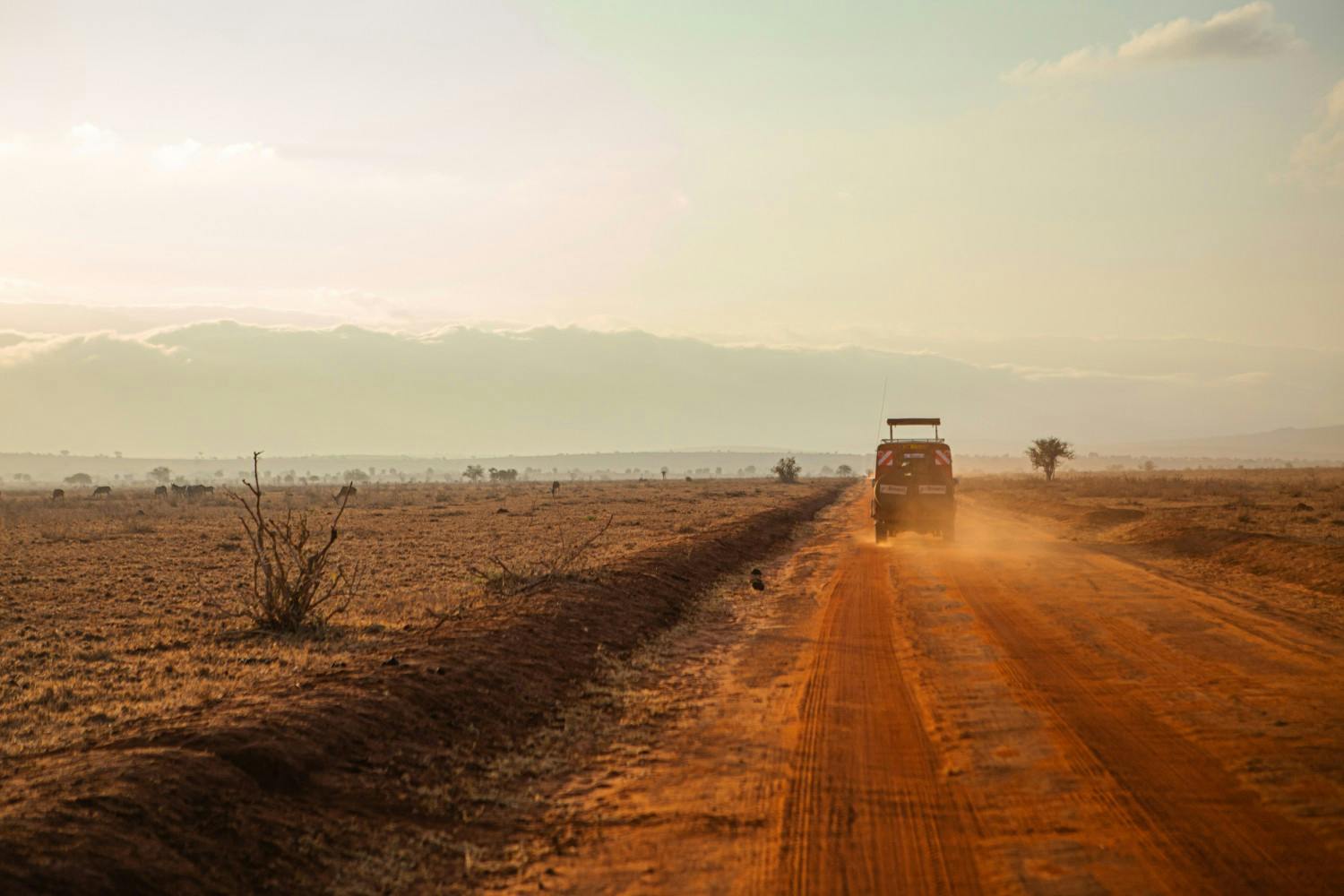 EGC_PDF_Magdalena_Zimnik_Kenya_Safari,_Game_Drive.jpg