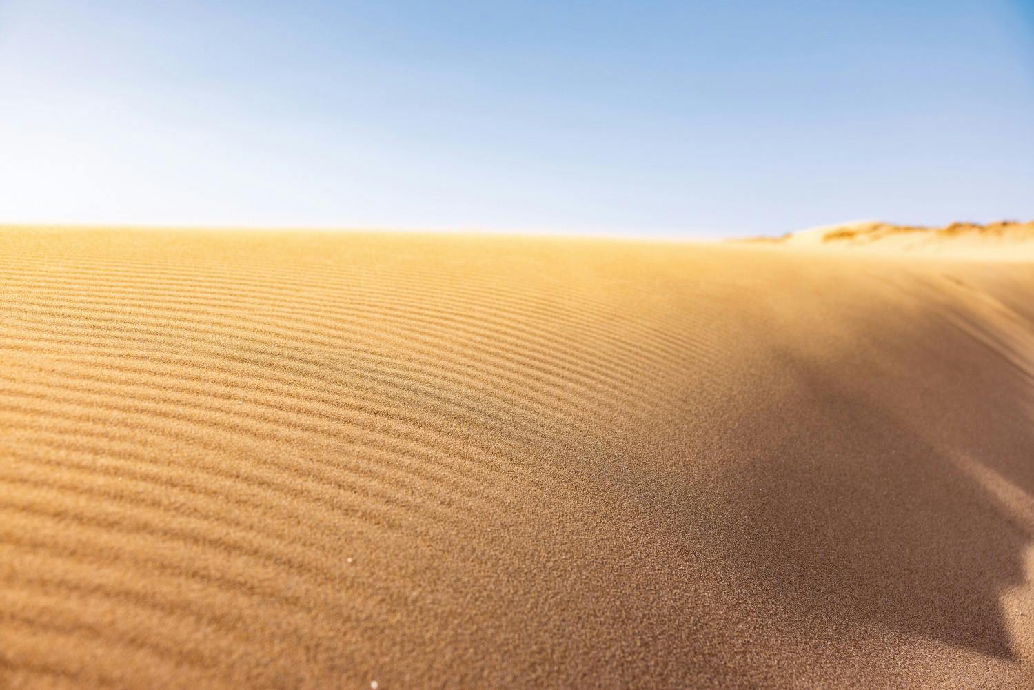MOROCCO_BRAND_24_F333_TIMLALINE.jpg