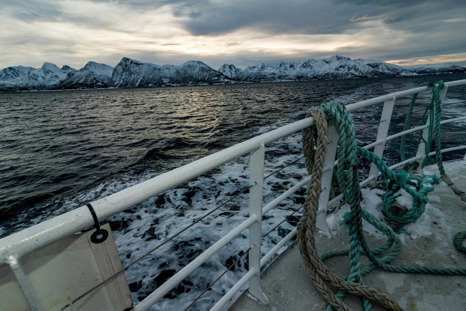 Lofoten midnight sun cruise1.jpg