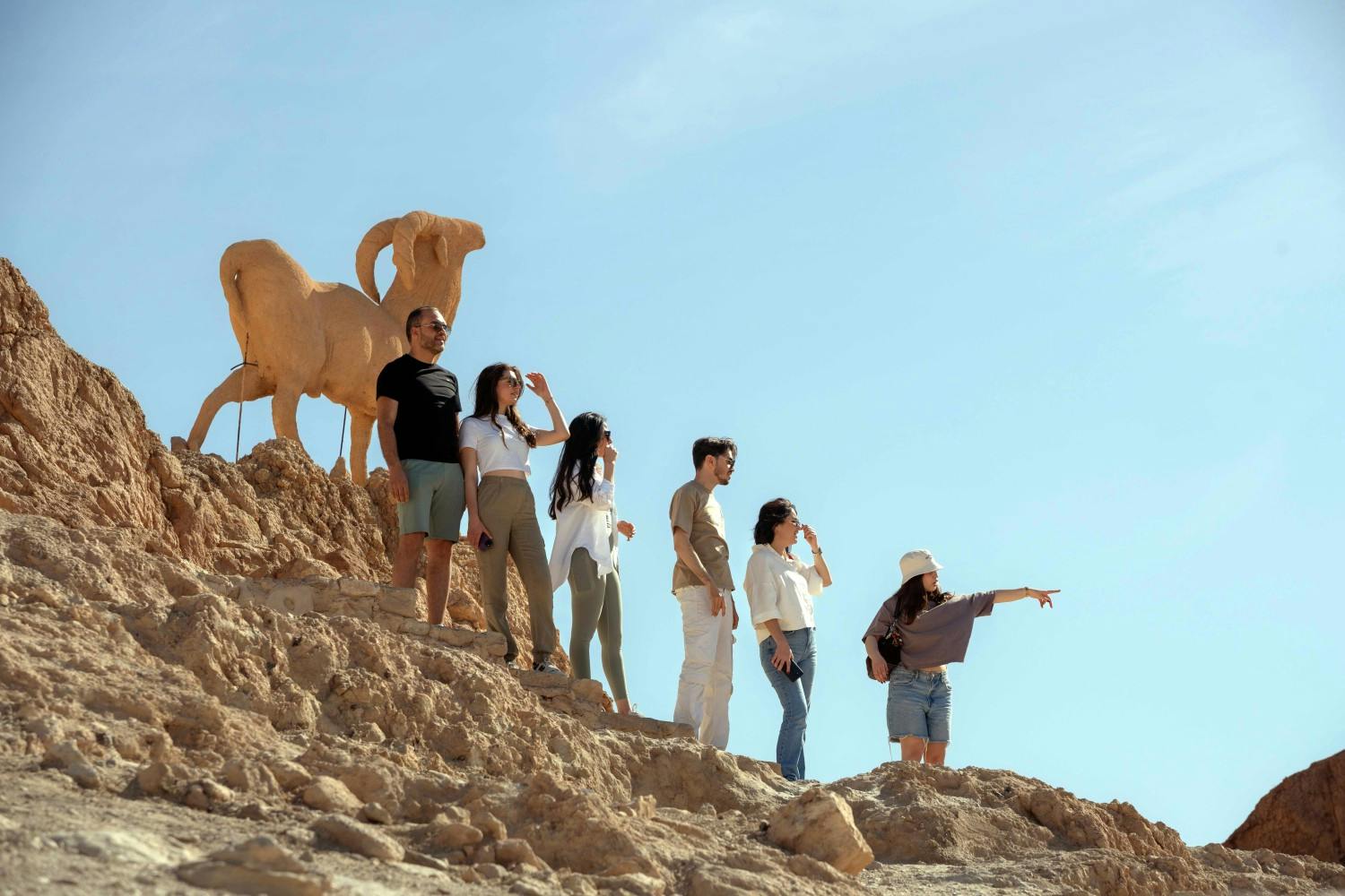 FL_Amine_Boussoffara_Tunisia_Chebika_05.jpg