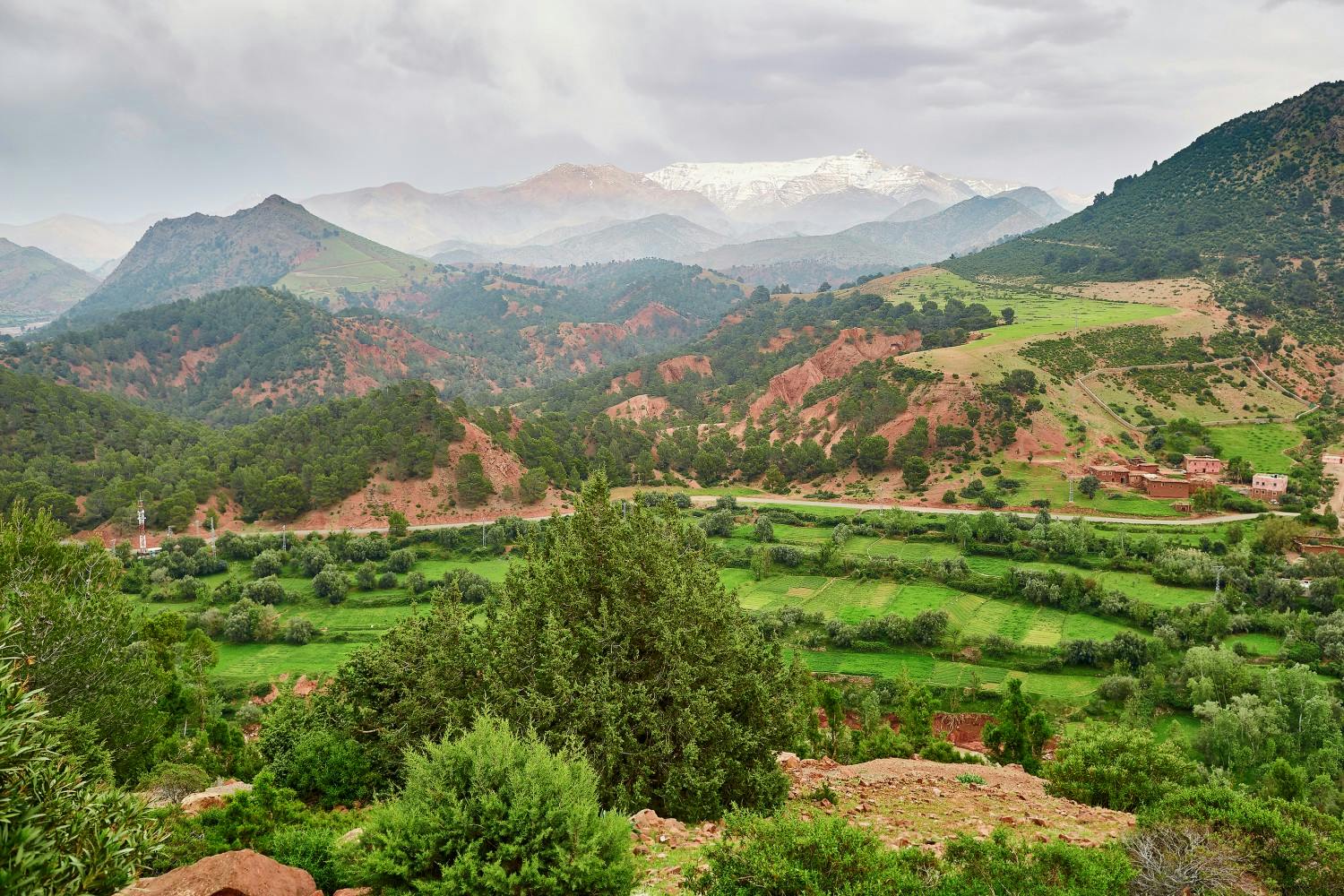 iStock_510461588_LARGE.jpg