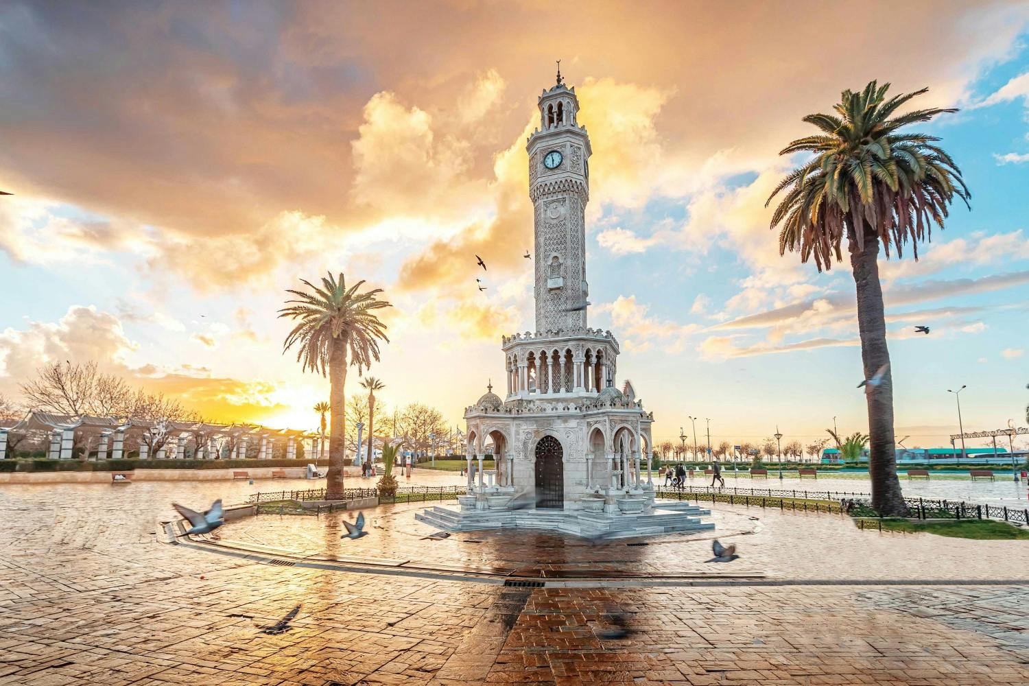 LOC_002133_shutterstock_2319457723.jpg