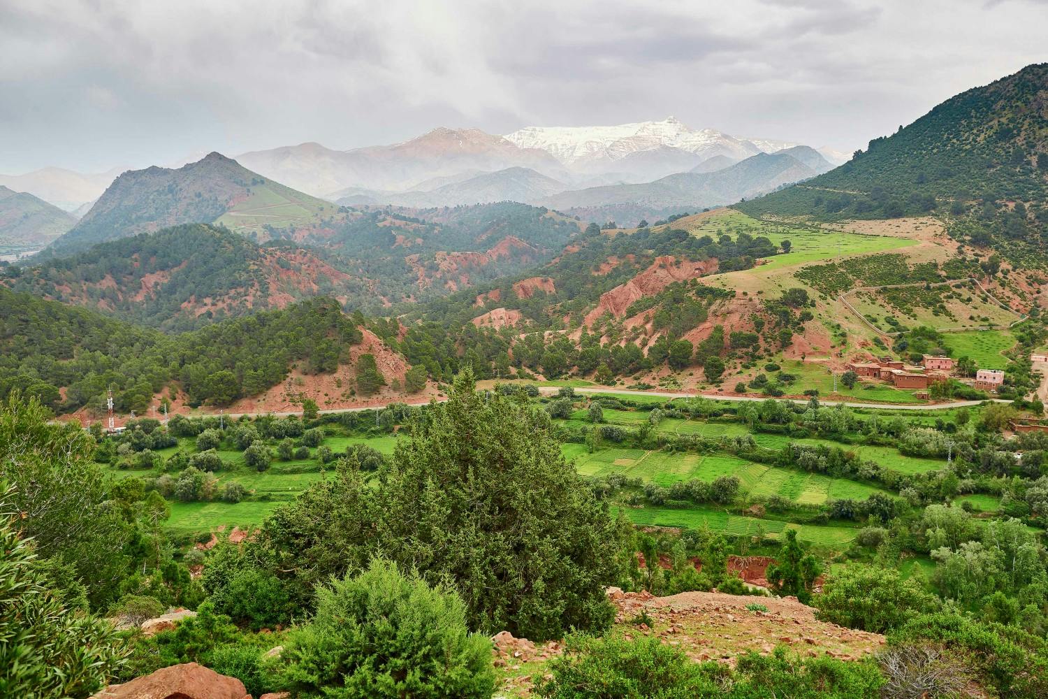 iStock_510461588_LARGE.jpg