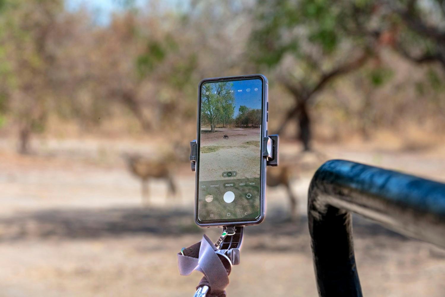 The-Gambia_Banjul_Fathala-Wildlife-Reserve_03.jpg