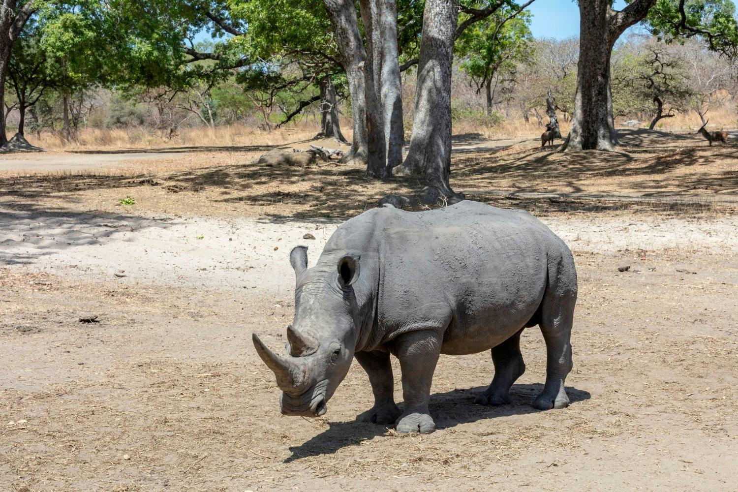 The-Gambia_Banjul_Fathala-Wildlife-Reserve_23.jpg