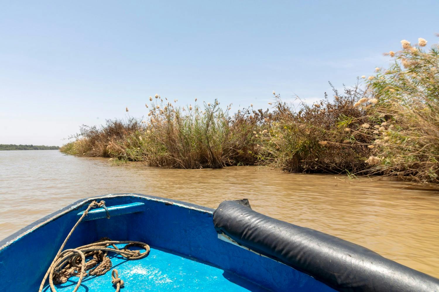 The Gambia_Banjul_River Gambia_06.jpg