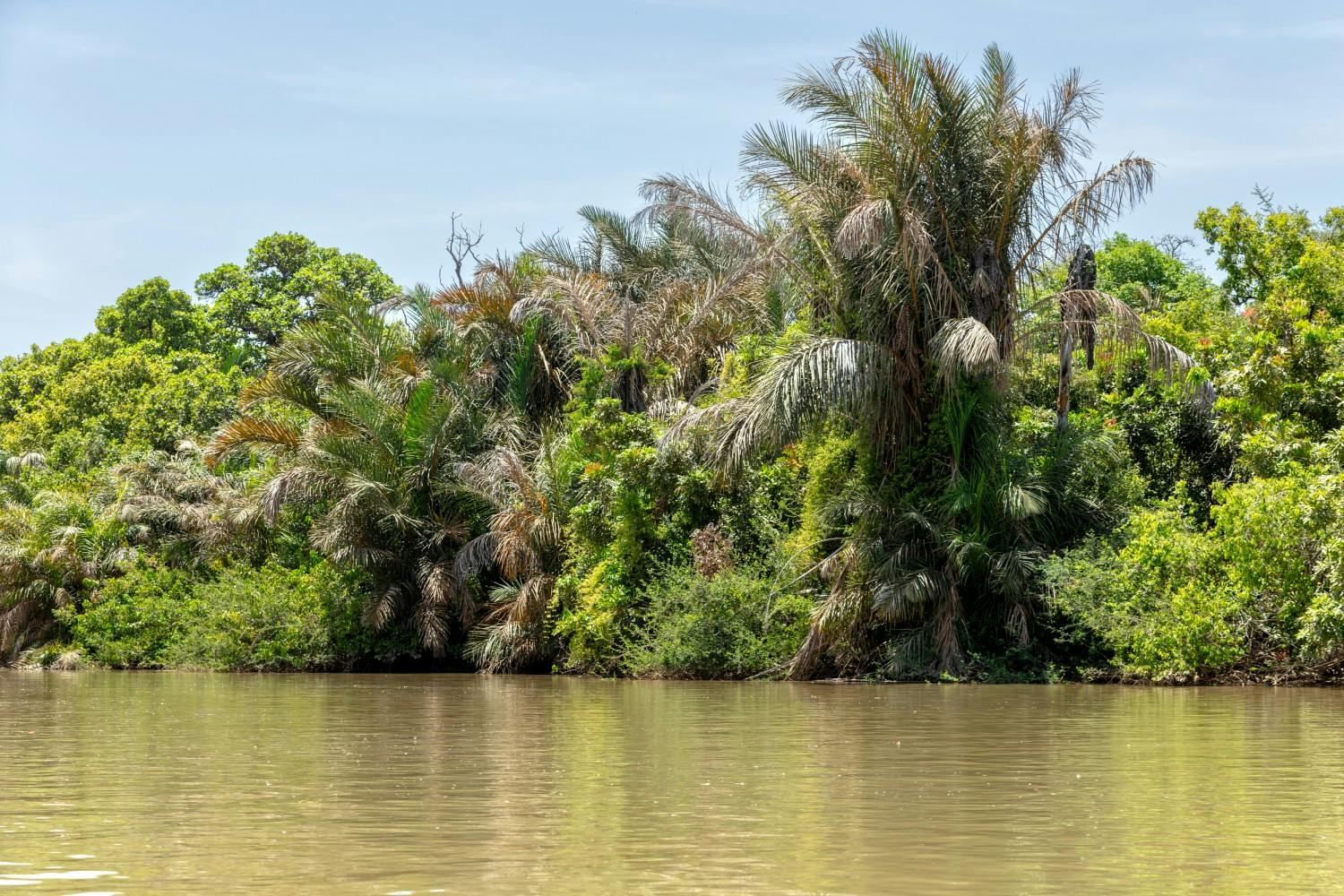 The Gambia_Banjul_River Gambia_07.jpg