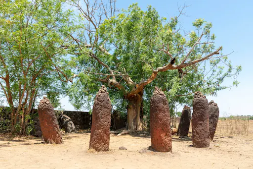 The Gambia_Banjul_Wassu Stone Circles_11.jpg
