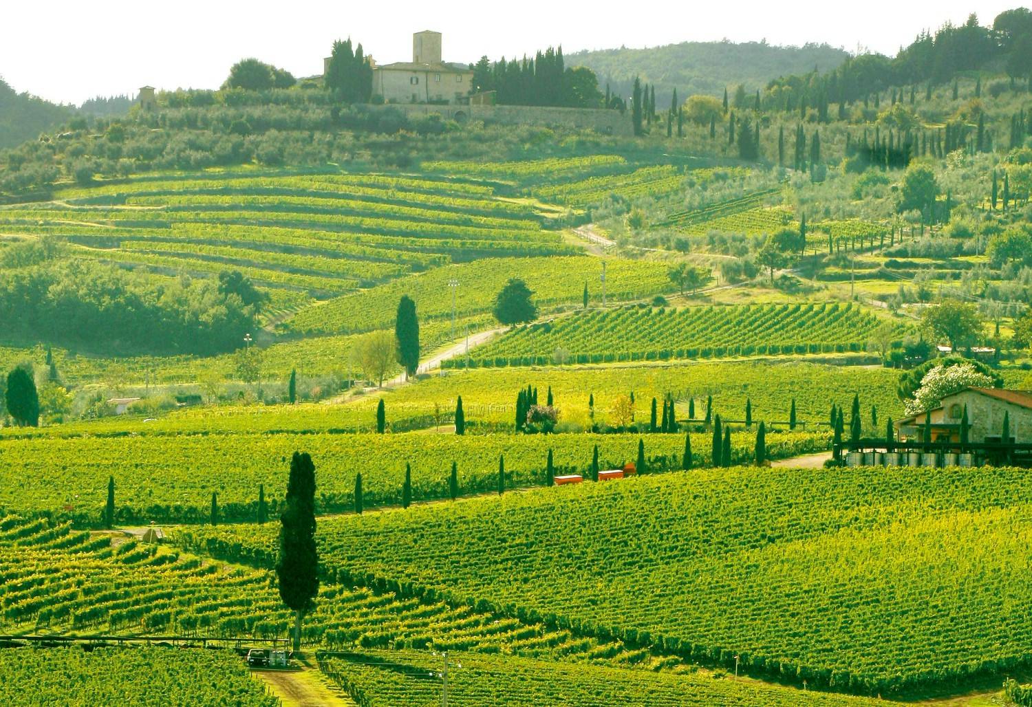 shutterstock_62201029_CROP.jpg