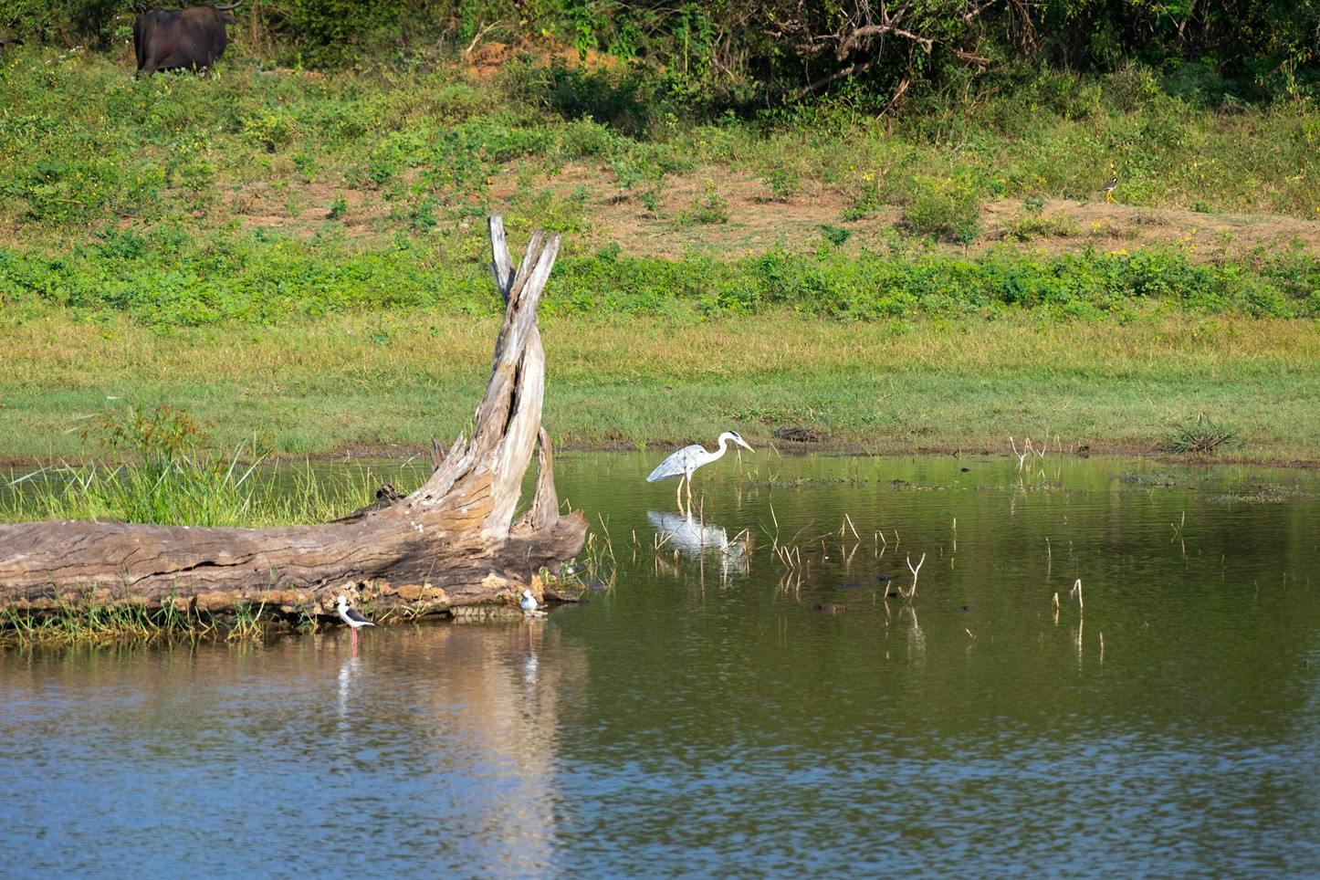 Bokun_1317624_16.jpg